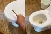 Kad je video šta su izvukli iz WC šolje, gost hotela doslovno zanemeo: Ovo je prava noćna mora!