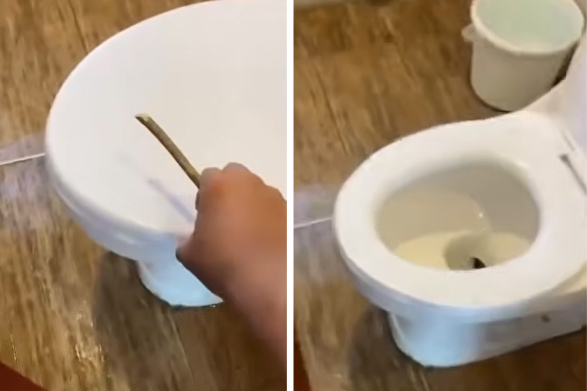 Kad je video šta su izvukli iz WC šolje, gost hotela doslovno zanemeo: Ovo je prava noćna mora!