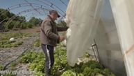 Mašićima je za 15 minuta priroda uništila život: Lomilo i nosilo je sve živo, izgubili su više hiljada evra