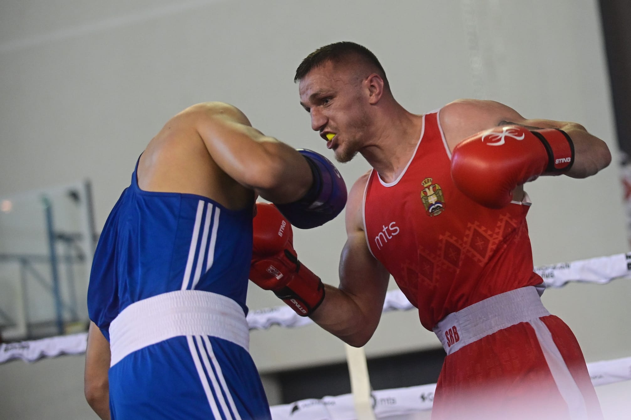 Almir Memić i Benjamin Poturak predvode spektakl u Sarajevu na Balkan Boxing 9!