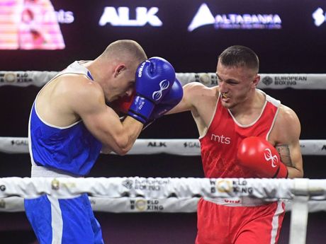 Boks, Almir Memić - Jovan Nikolić