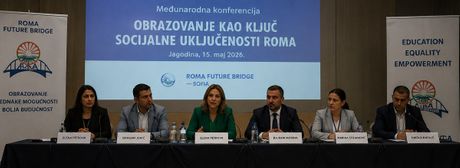 Međunarodna romska razvojna mreža
