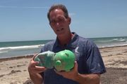 Šetao plažom i ovo otkrio! Nije mogao da veruje svojim očima: "Ima ih preko 60, sve su isečene"