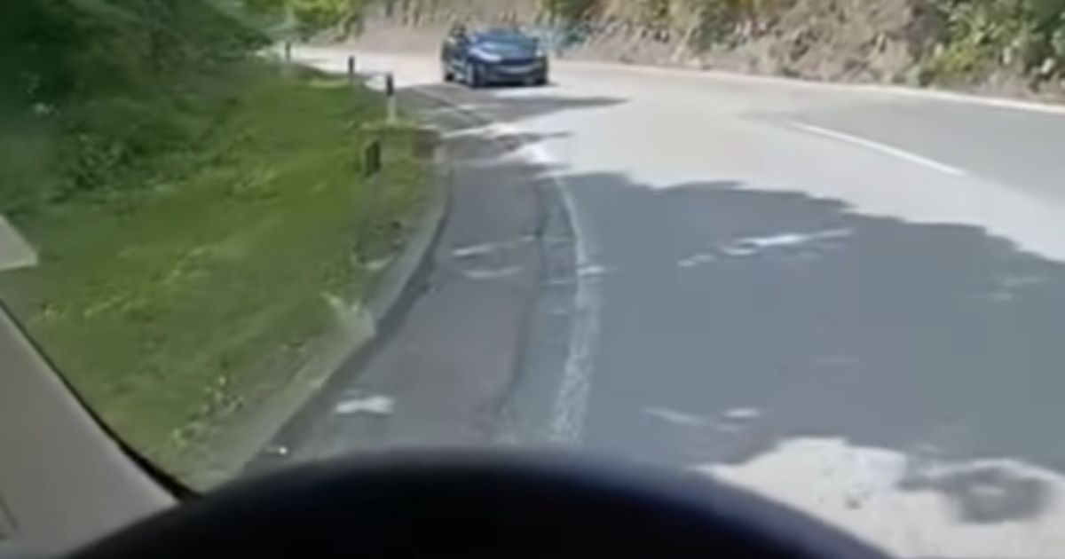 Another drive in the WRONG direction on Iriški venac: Realized a car was coming towards him on the curve, so he did THIS