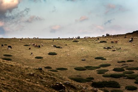 Nacinalni park Šar planina
