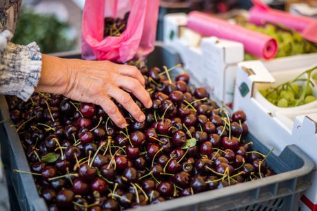 Trešnje