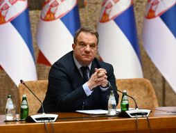 Dejan Vuk Stanković, Svet u Srbiji