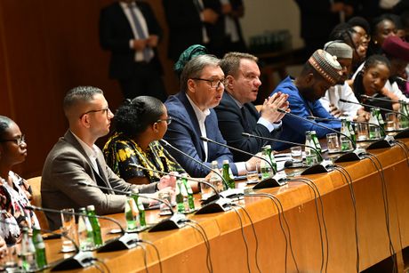 Aleksandar Vučić, Svet u Srbiji