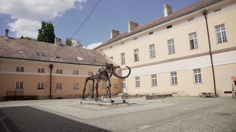 Mamutica Kika u Kikindi