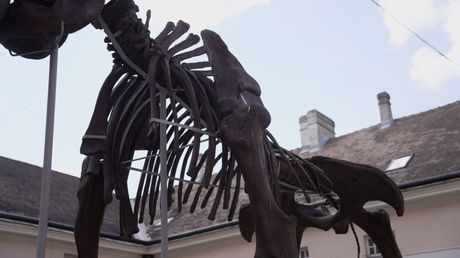 Mamutica Kika u Kikindi