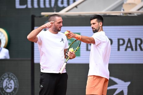 Novak Đoković, Viktor Troicki