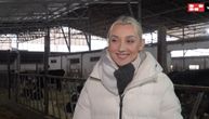 Prelepa Sofija iz Bačke Palanke brine o 450 krava, svakoj zna ime, a evo kakvog momka traži: I one idu u MIRAZ