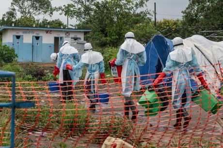 Ebola, Kongo
