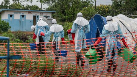 Ebola, Kongo