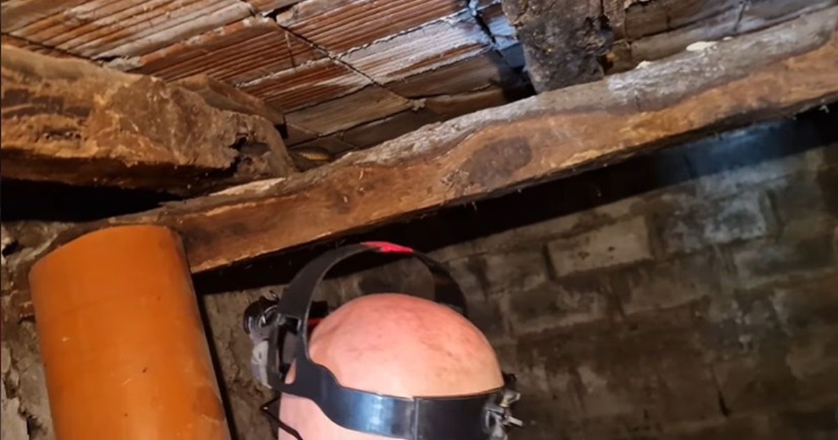 Host Sloba was making rakia, he had no idea WHO was lurking between the old beams of the house: Everything was caught on CAMERA