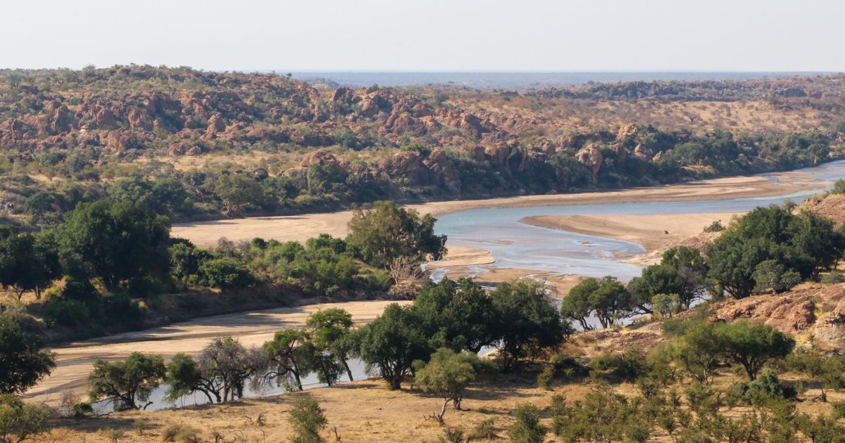 Užas u Južnoj Africi: Tela turista pronađena u reci punoj krokodila, sumnja se na ubistvo