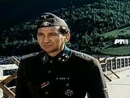 Relja Bašić