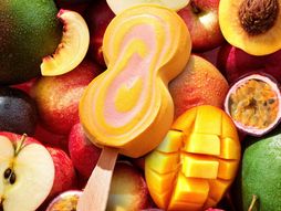 Frikom Sorbet