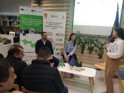 Romski biznis klub, REDI