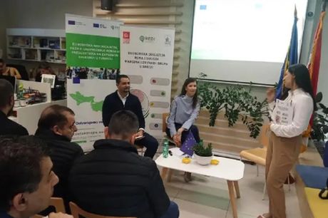 Romski biznis klub, REDI