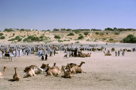 Sahara