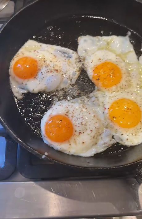Domaća ili kupovna jaja