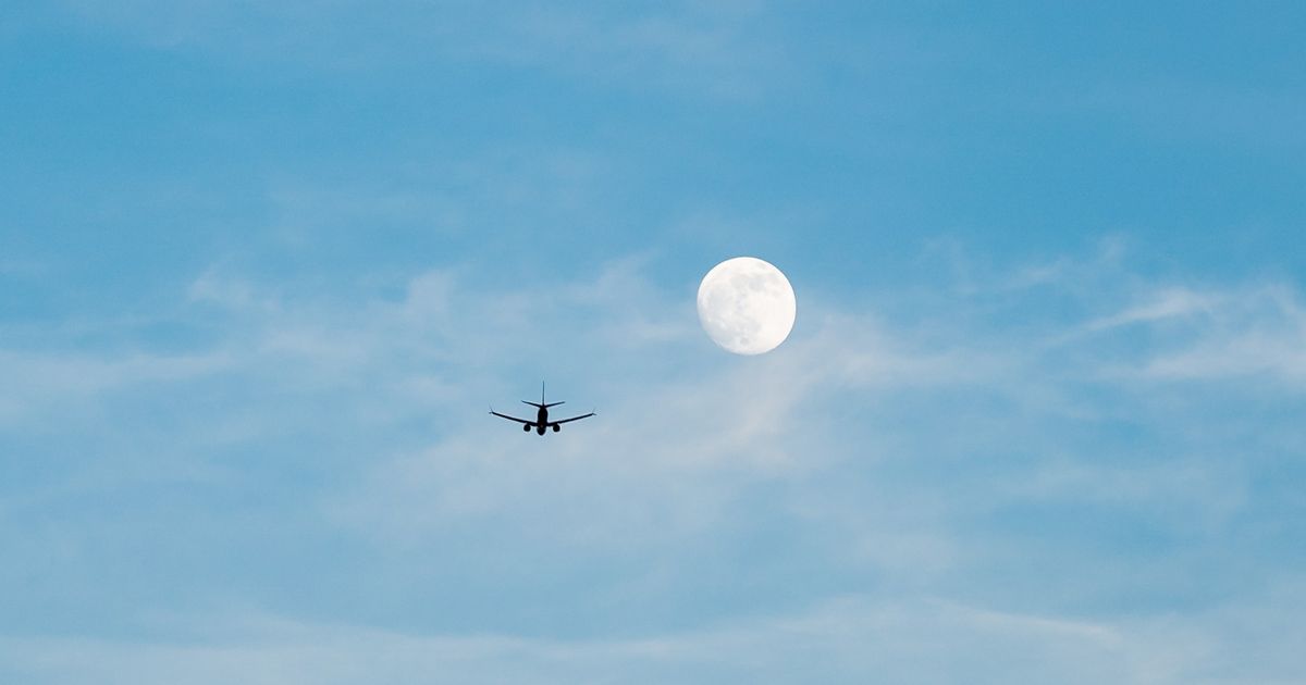 Cover image for Danas u 10.45 istina izlazi na videlo: Strelčevima se otvaraju sva vrata, 4 znaka ulaze u period velike sreće