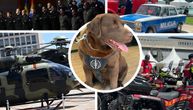 Srbija danas slavi Dan policije: Najmanja stopa kriminala, uručene medalje neustrašivim herojima