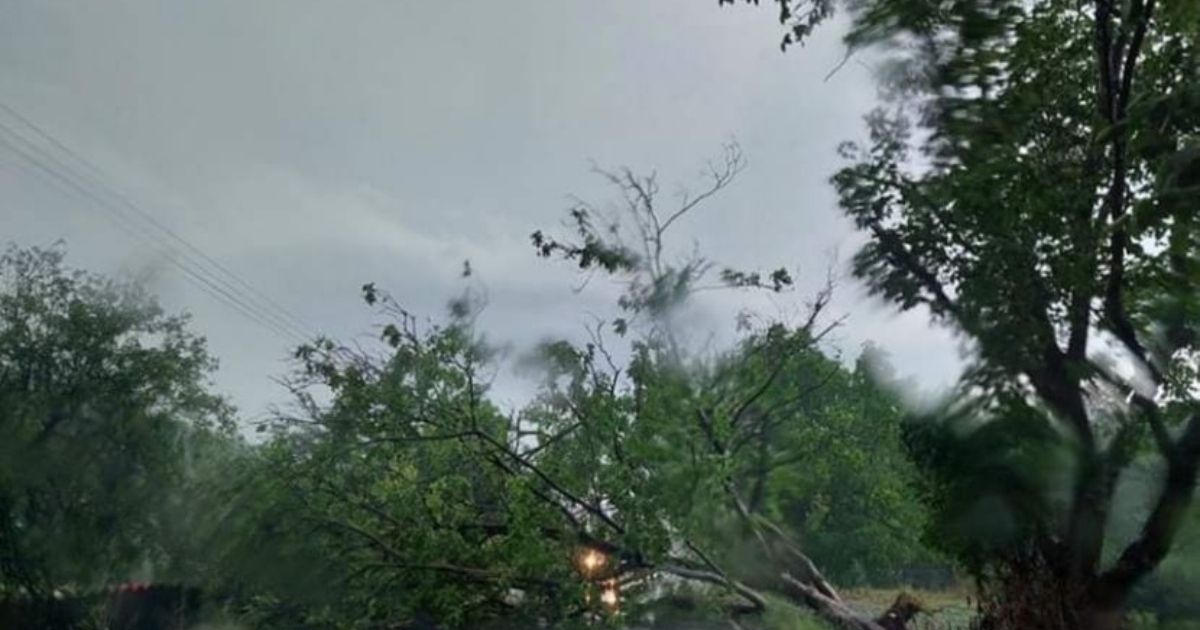 Grom udario u banderu i izazvao požar, vetar čupao drveće iz korena: Nezapamćeno nevreme pogodilo Kragujevac
