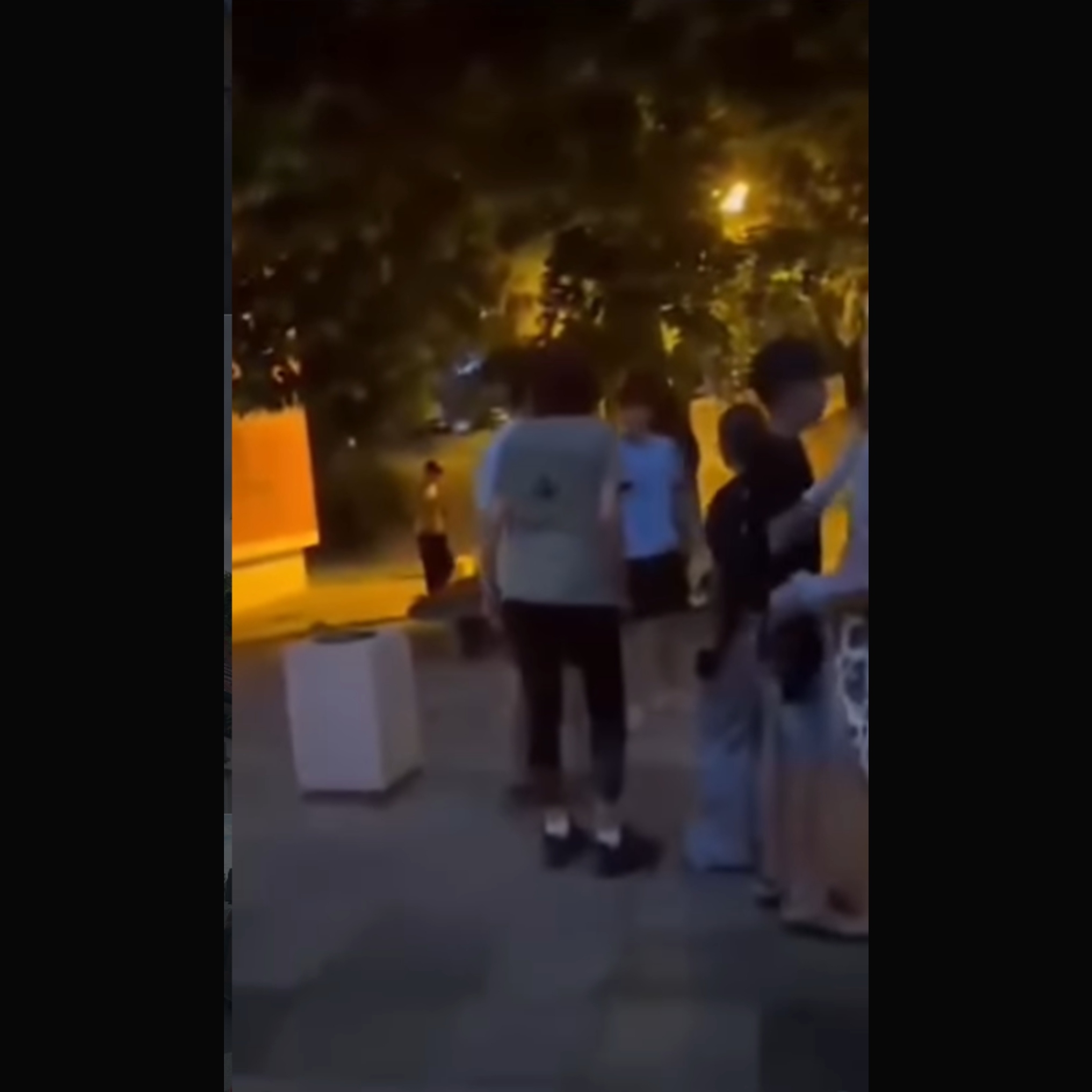 Haos na Petlovom brdu! Žena i muž metlom nasrnuli na decu: "Sad vičeš da si maloletan?!"