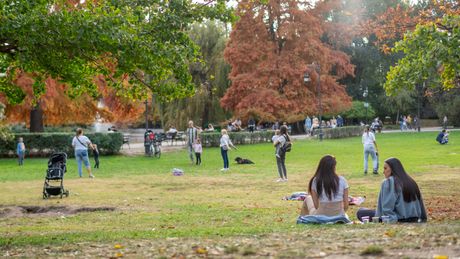Dunavski park, Novi Sad