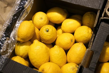limun, limunovi, voće, citrusno voće, gajba limuna