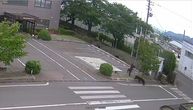 HAOS U JAPANU! Medved povredio četvoro ljudi u stambenom području, SNIMAK JE JEZIV!