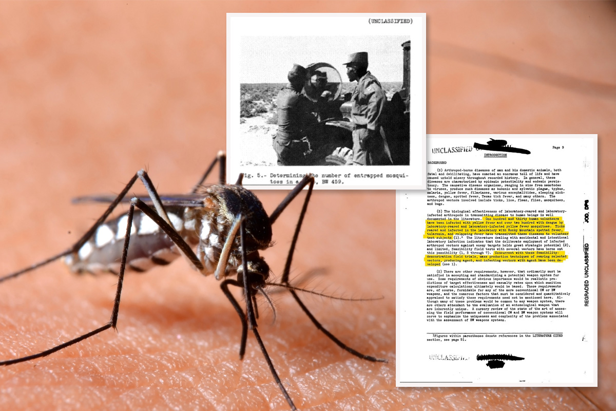 Rojevi "komaraca ubica" puštani na nevine Amerikance: Tajni dokumenti Pentagona otkrivaju