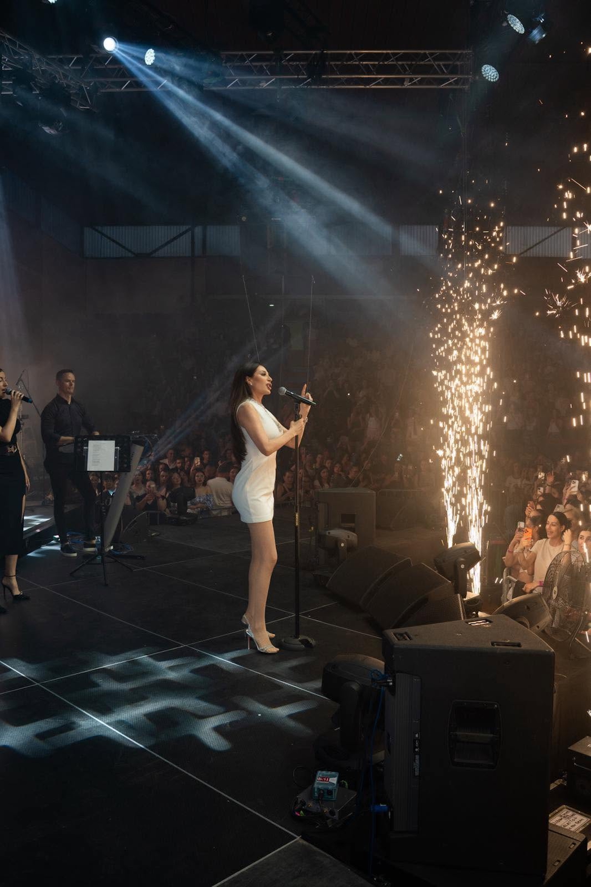 Ceca prekinula koncert u Zaječaru, pa uradila neočekivano: Zbog njenog gesta cela publika reagovala