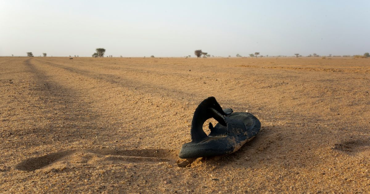 Tragedija u pustinji: 49 ljudi umrlo od žeđi u Nigeru