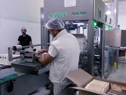 Nelly, fabrika čokolade