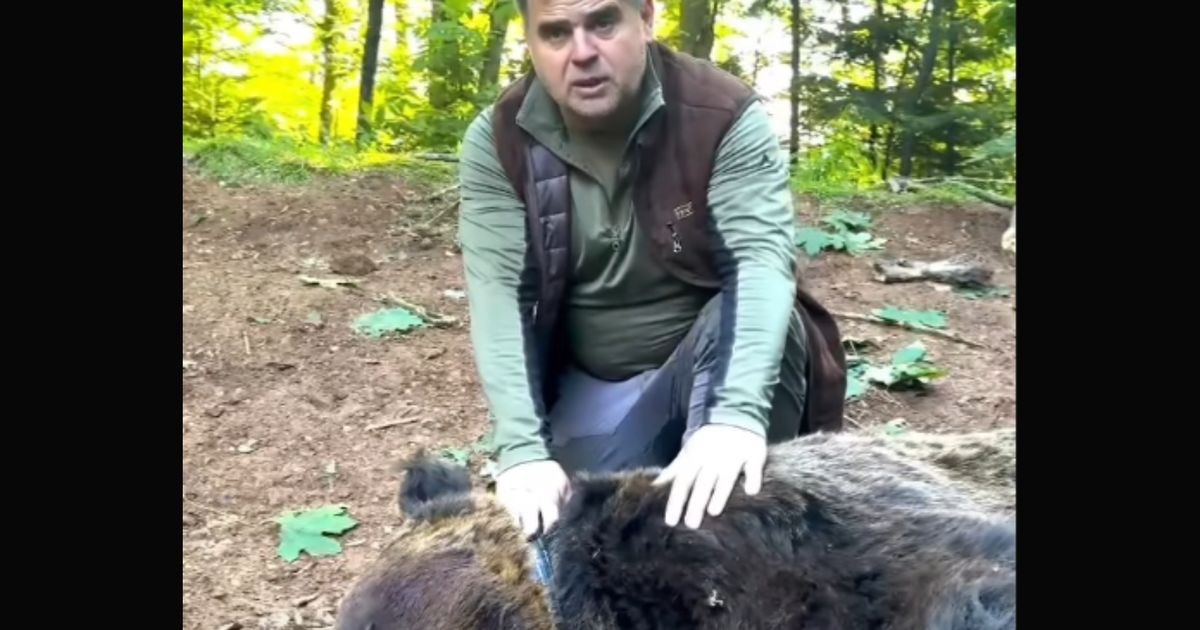 Duško drži medveda za gušu, glava mu kao TRI LJUDSKE! Evo št