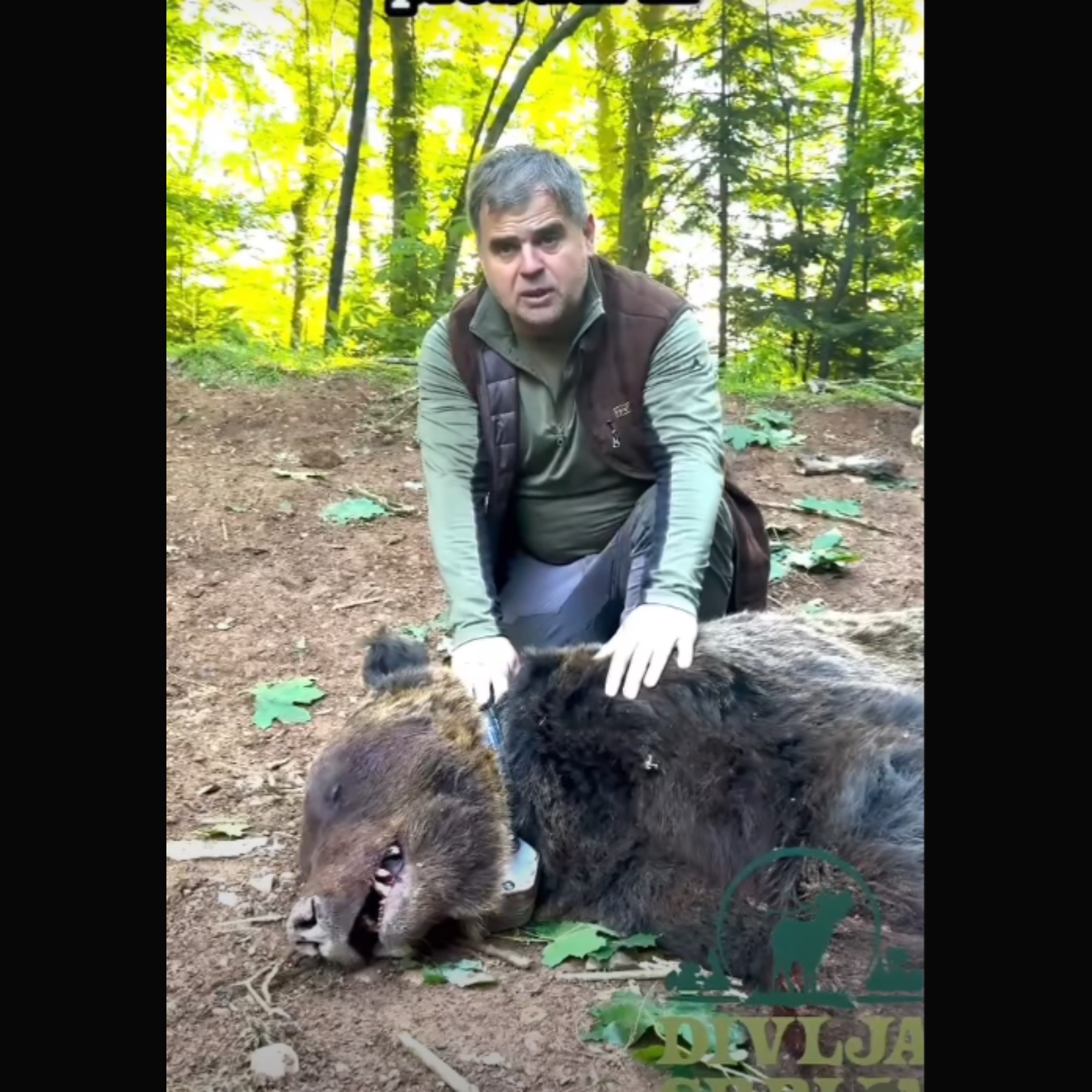 Duško drži medveda za gušu, glava mu kao TRI LJUDSKE! Evo šta se krije iza snimka koji šokira javnost