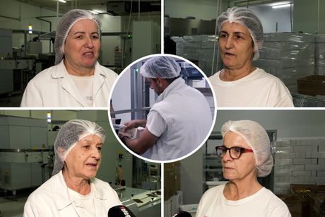 Nelly, fabrika čokolade
