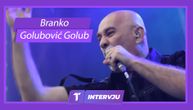 Golub, Goblini: O pesmama" Anja, volim te" i "U magnovenju", pohvali Bilija Ajdola, beogradskom koncertu...
