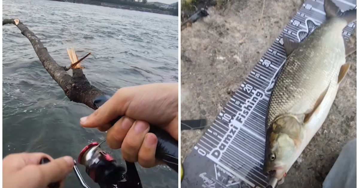 Urnebesan snimak sa Dunava: Srbin napravio pecaljku od GRANE