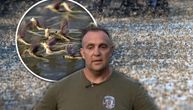 Čekaju 3 godine u tami za samo par sati ljubavi: Na Tisi smo posmatrali najtužniji i najlepši fenomen na svetu