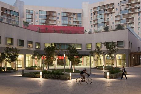 NYU Abu Dhabi, Nju Jork Univezitet Abu Dabi