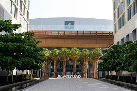 NYU Abu Dhabi, Nju Jork Univezitet Abu Dabi