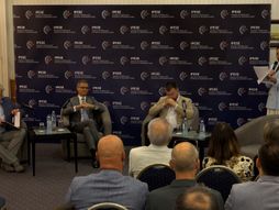Panel, Rezolucija 1244