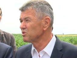 Petar Matijević