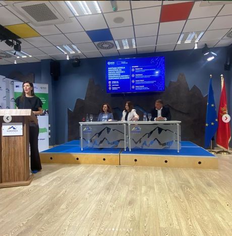 Romska zajednica, Egipćanska zajednica
