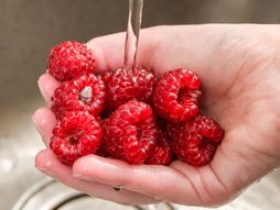 maline, pranje malina, voće