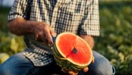 Presekli ste lubenicu i ugledali žute linije? Evo kada sme da se jede, a kada mora pravo u kantu